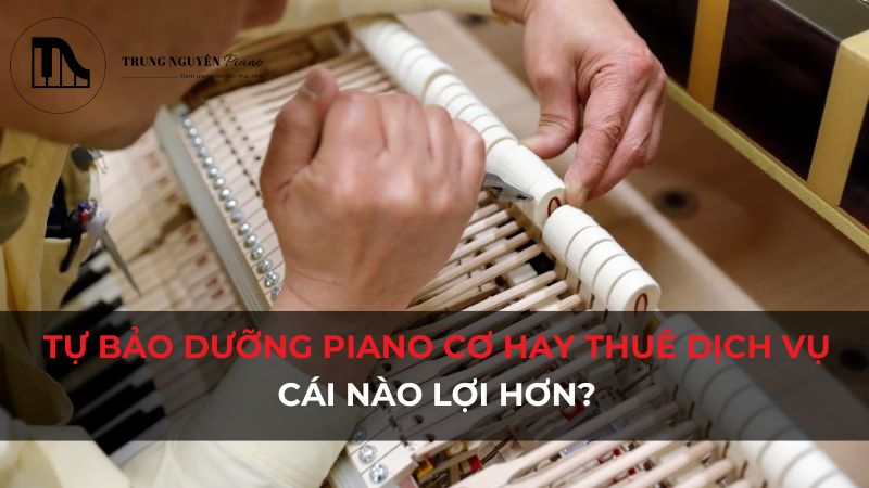 Tự bảo dưỡng Piano Cơ hay thuê dịch vụ, cái nào lợi hơn?