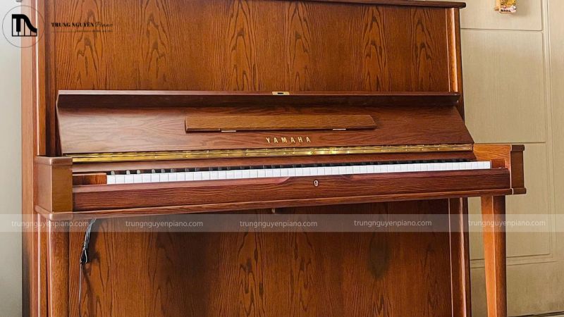 Chọn đàn phù hợp nhu cầu học tập