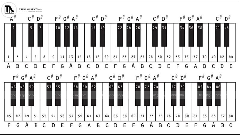 Biết giọng bài hát giúp bạn chơi đúng hợp âm, dễ cảm nhạc và chuyển tông linh hoạt trên piano hay guitar.