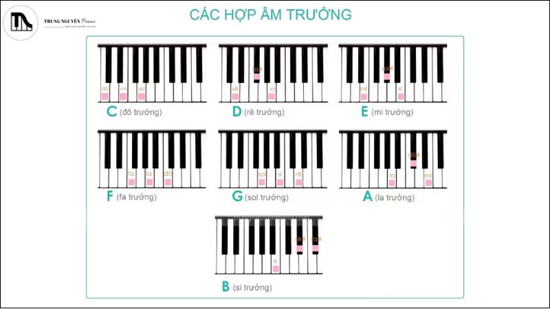 Sơ đồ đơn giản minh họa nốt chủ âm là trung tâm