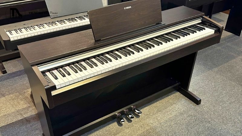 Yamaha YDP-145 hoặc YDP-S35 với bàn phím GHS và các tính năng cơ bản là lựa chọn hợp lý.