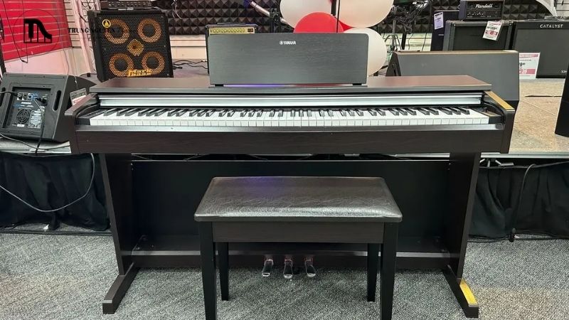 Model cao hơn thường mang lại cảm giác phím và âm thanh gần với piano cơ hơn.