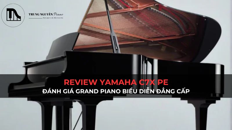 Review Yamaha C7X PE: Đánh giá grand piano biểu diễn đẳng cấp