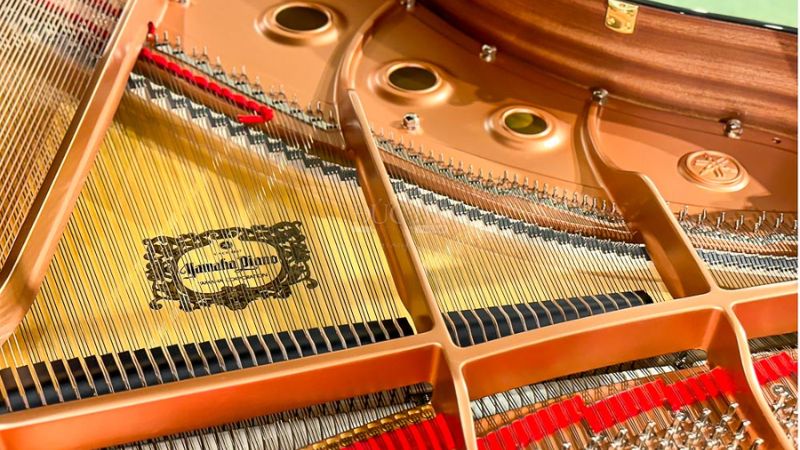 Bảng cộng hưởng của Yamaha GC1