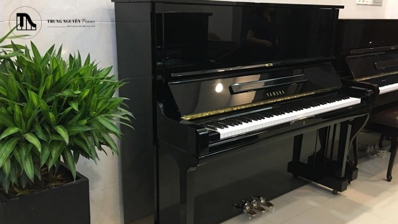 Yamaha U3H nổi tiếng với chất âm sáng, vang, rõ ràng và mạnh mẽ