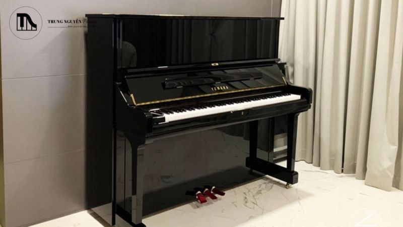 Yamaha và Kawai đều nổi tiếng về độ bền