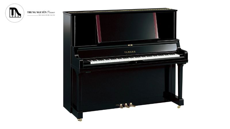 Cả Yamaha YUS5 và Kawai US8X 9 đều sở hữu chất âm tuyệt vời