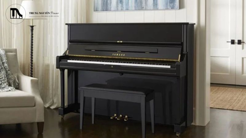 Yamaha YUS5 hoặc Kawai US8X 9 đã qua sử dụng để tiết kiệm chi phí, việc kiểm tra kỹ lưỡng