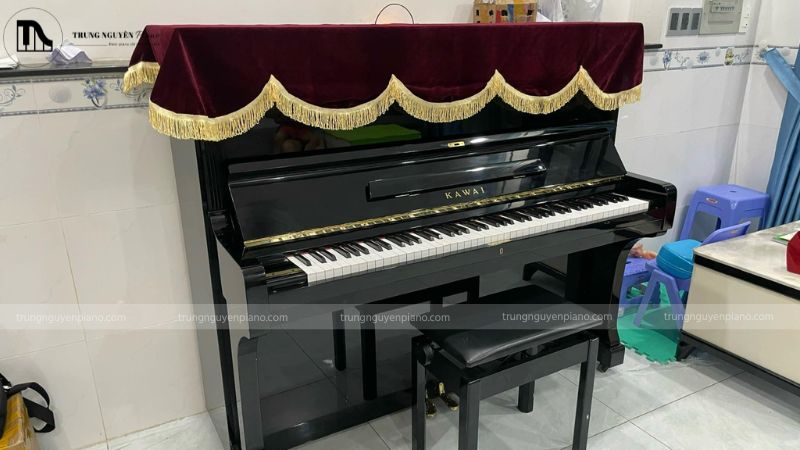 Yếu tố ảnh hưởng chất lượng đàn