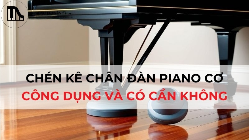 Chén kê chân đàn Piano Cơ: Công dụng và có cần không?