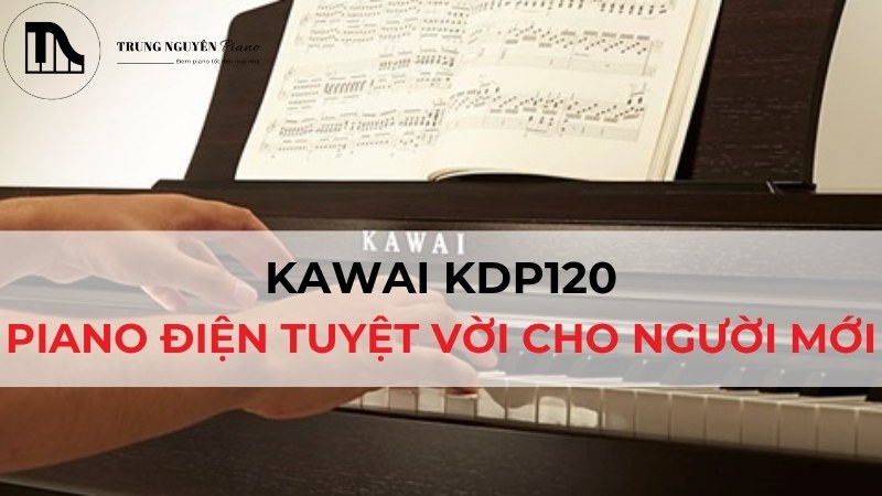 Kawai KDP120 Review: Piano điện tuyệt vời cho người mới bắt đầu