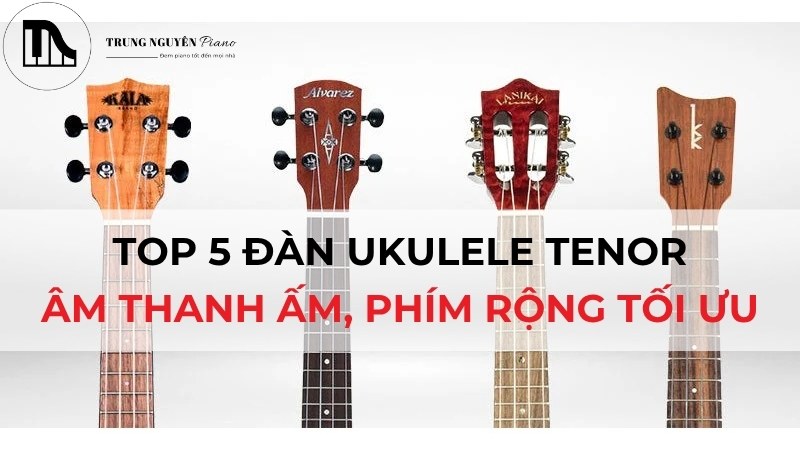 Top 5 đàn Ukulele Tenor: Âm thanh ấm, phím rộng tối ưu