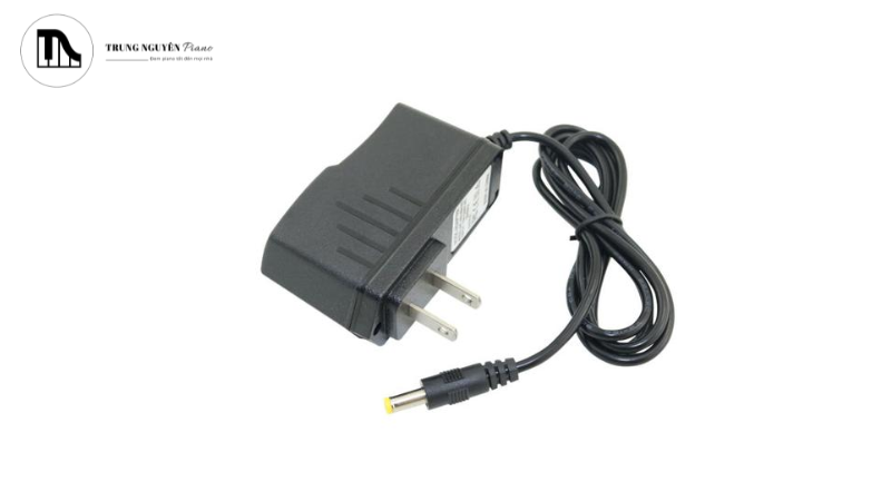 Jack cắm phải vừa khít với cổng nguồn trên đàn