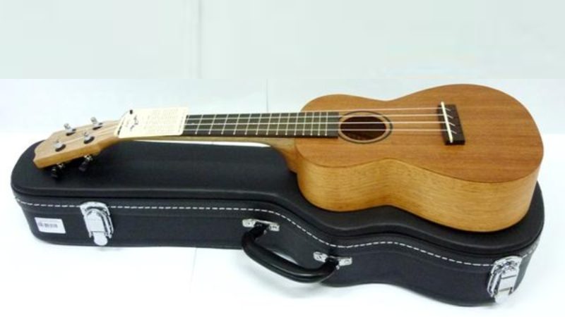 Bao đựng Ukulele: Bảo vệ đàn yêu khỏi va đập, thời tiết 5 Vỏ ngoài làm từ nhựa cứng, gỗ ép bọc da hoặc vật liệu composite