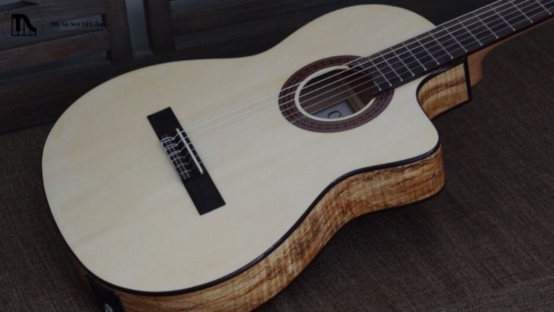 Review Cordoba C5 Classic: Guitar gỗ thịt tuyệt vời cho người mới 5 Các loại đàn guitar Cordoba C5