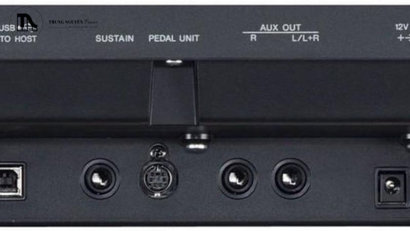 MIDI không phải là âm thanh, nó giống như một "bản nhạc số".