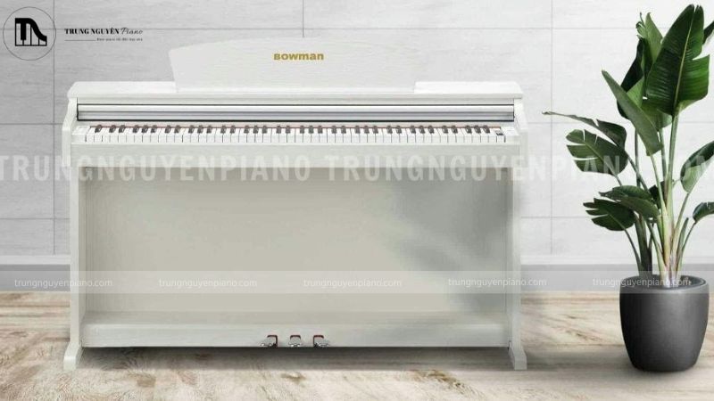 Có thể lắp riêng chân gỗ piano không