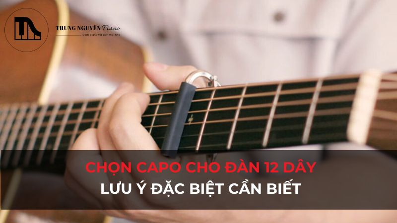 Chọn Capo đàn 12 dây: Lưu ý đặc biệt cần biết