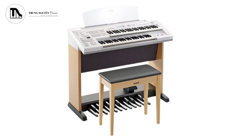 Bề mặt ghế thường làm bằng da hoặc nỉ