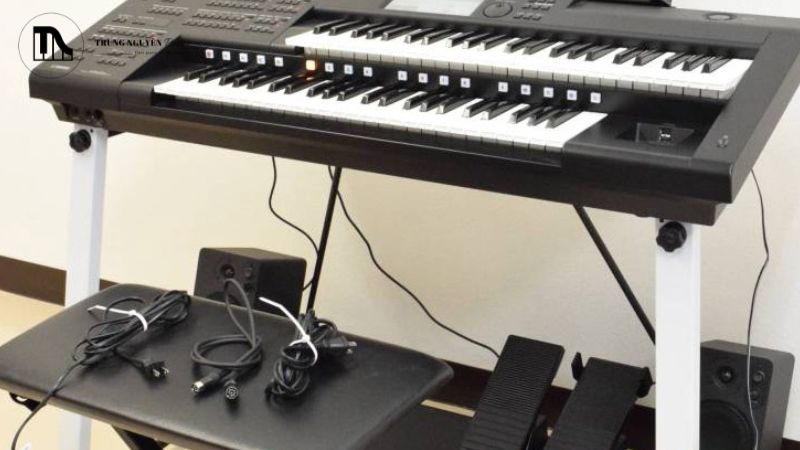 Sản phẩm đa dạng, chính hãng