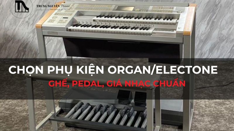 Chọn phụ kiện Organ/Electone: Ghế, Pedal, giá nhạc chuẩn