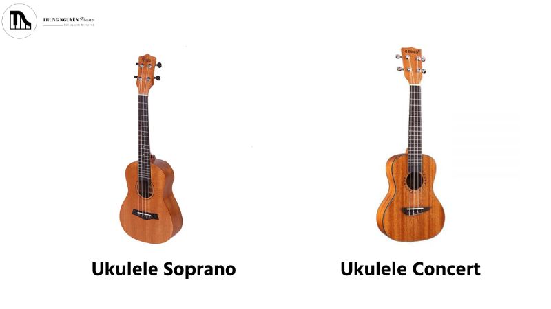 Ukulele Soprano và Ukulele Concert