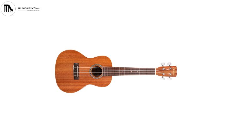 Đàn Concert Ukulele cao cấp Cordoba 15CM