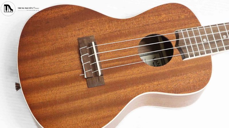 Mặt đàn Lanikai MA-C