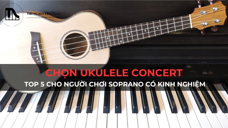 Chọn Ukulele Concert: Top 5 cho người chơi Soprano có kinh nghiệm