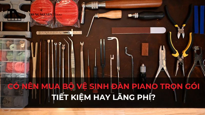 Có nên mua bộ vệ sinh đàn Piano trọn gói: Tiết kiệm hay lãng phí