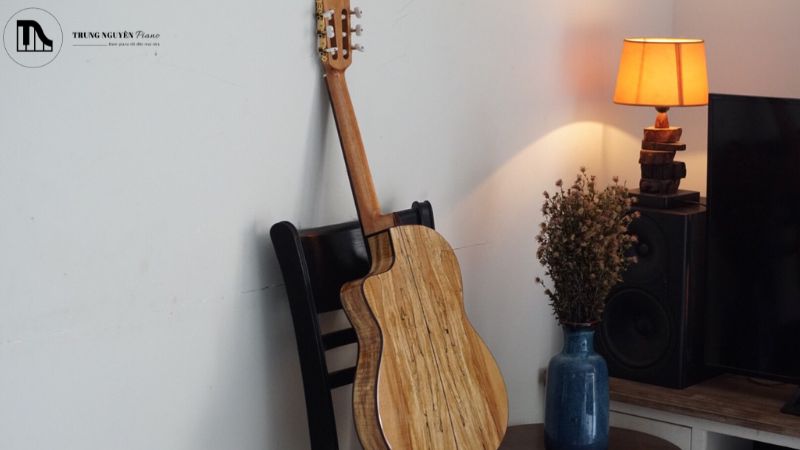 Review Cordoba C5 Classic: Guitar gỗ thịt tuyệt vời cho người mới 7 Có nên mua guitar Cordoba C5