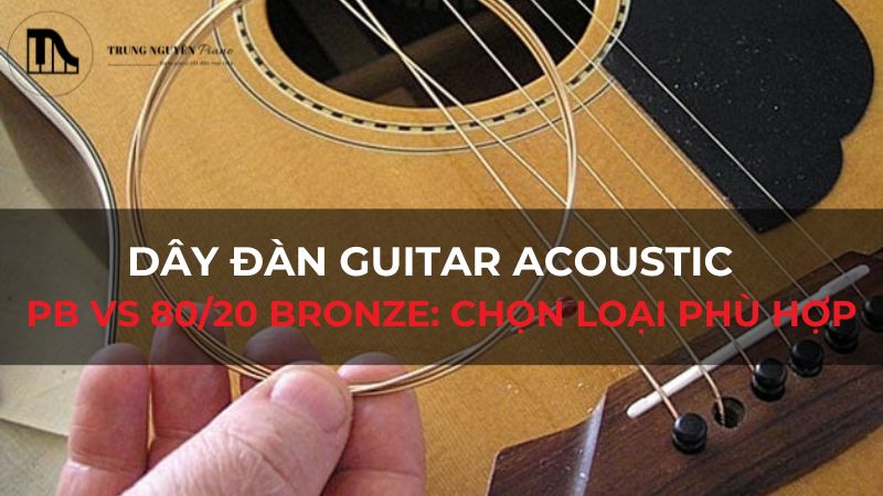 Dây đàn Guitar Acoustic: PB vs 80/20 Bronze: Chọn loại phù hợp