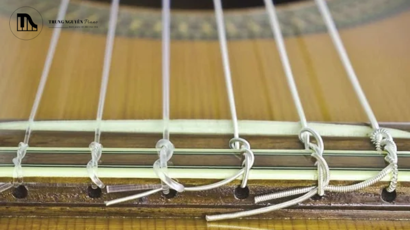 Dây đàn Guitar Classic: Chọn Tension, Thương hiệu uy tín chuẩn 9 Dây carbon thường có đường kính nhỏ hơn, mang lại cảm giác chơi khá nhanh và nhạy