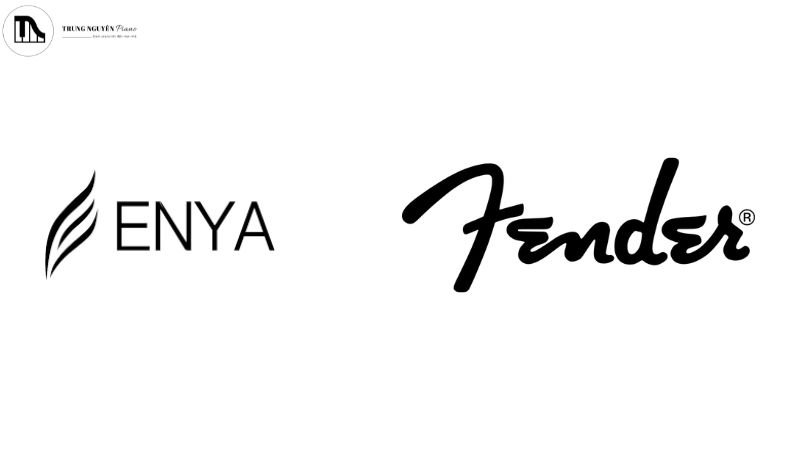 Enya & Fender là hai thương hiệu nổi bật trong lựa chọn guitar đầu tiên