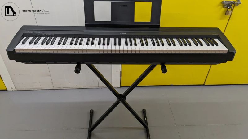 Giá đỡ đàn piano điện chữ X có thiết kế gọn, dễ gập gọn và điều chỉnh độ cao linh hoạt