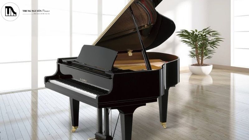 Top 3 Grand Piano Kawai GL Series: Lý tưởng cho không gian nhỏ 1 Tìm hiểu về Grand Piano Kawai GL Series