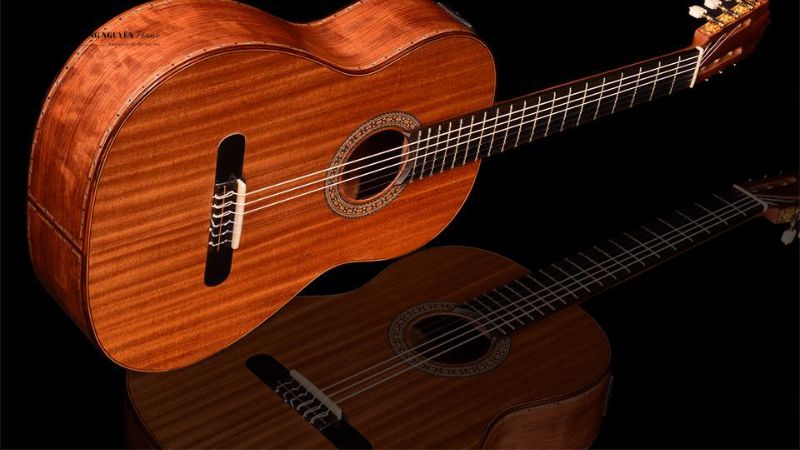 Gỗ Cedar của bề mặt guitar