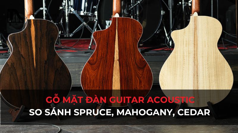 Gỗ mặt đàn Guitar Acoustic: So sánh Spruce, Mahogany, Cedar