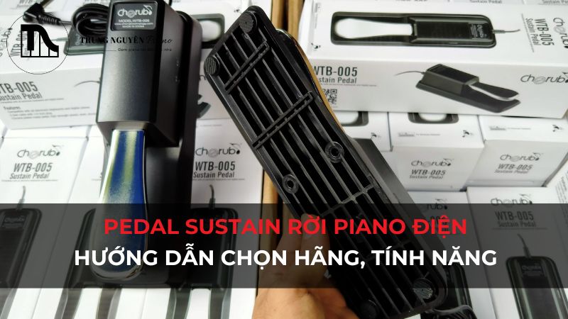 Hướng dẫn chọn Pedal Sustain rời Piano Điện