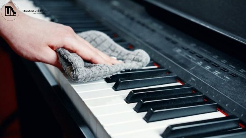 Có nên mua bộ vệ sinh đàn Piano trọn gói: Tiết kiệm hay lãng phí 2 Cách dùng bộ vệ sinh piano cơ bản tại nhà