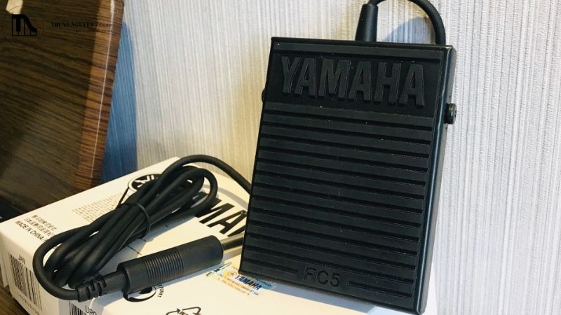 Cách sử dụng và bảo quản pedal rời