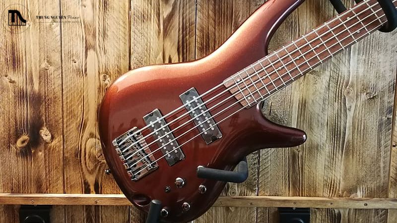 Ibanez SR305E và SR505E là hai mẫu bass 5 dây đình đám