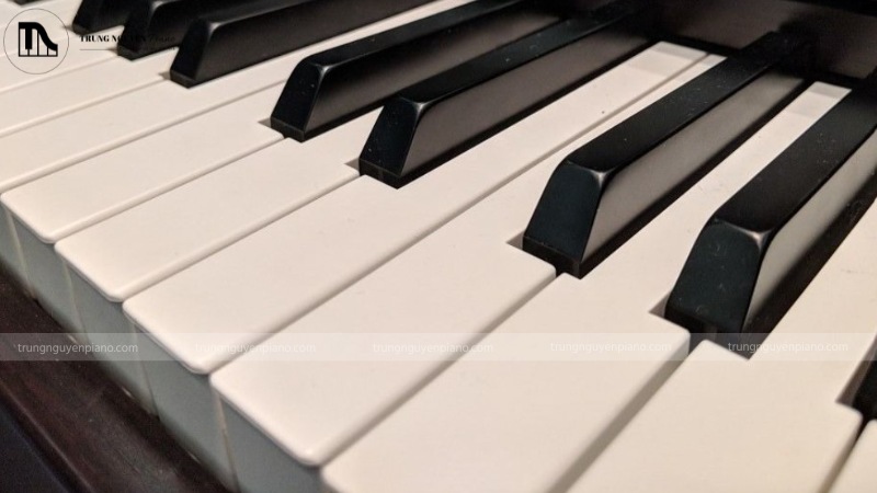 Bàn phím Kawai KDP120, làm nổi bật bề mặt phím mờ và thiết kế gọn gàng