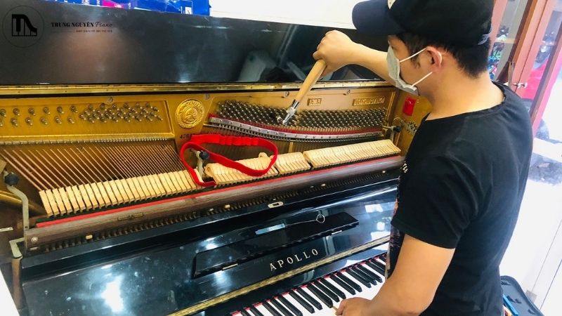 Có nên mua bộ vệ sinh đàn Piano trọn gói: Tiết kiệm hay lãng phí 5 Nên nhờ chuyên gia khi đàn bị bám bẩn lâu ngày, phím kẹt, có mùi lạ