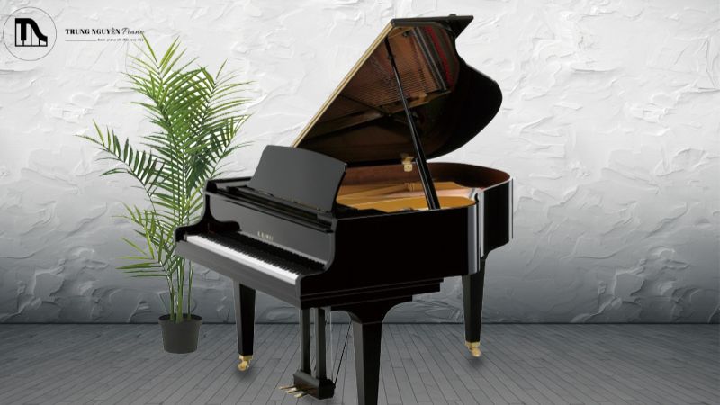 Top 3 Grand Piano Kawai GL Series: Lý tưởng cho không gian nhỏ 7 Lưu ý khi mua Grand Piano Kawai GL Series