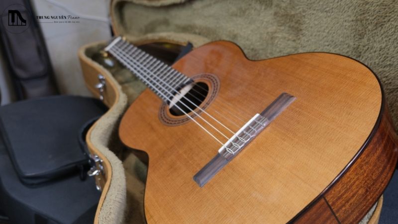 Review Cordoba C5 Classic: Guitar gỗ thịt tuyệt vời cho người mới 1 Đàn guitar classic Cordoba C5 dùng gỗ tuyết tùng nguyên tấm