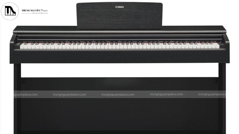 Piano điện thiết kế hiện đại dễ dàng di chuyển phù hợp cho luyện tập và biểu diễn linh hoạt