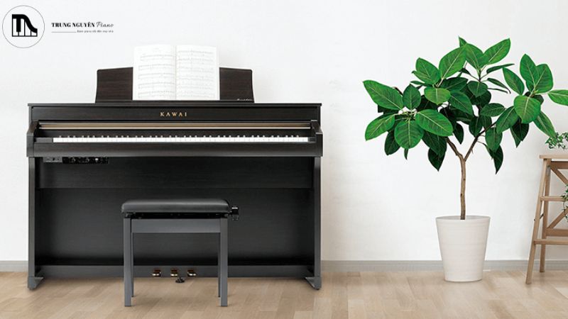 Khi nào bạn nên chọn Kawai CA79 