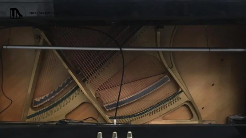 Ống sấy đàn piano: Giải pháp chống ẩm cho piano cơ VN 4 Chỉ nên sử dụng ống sấy khi độ ẩm không khí trong phòng cao, thường là trên 70%