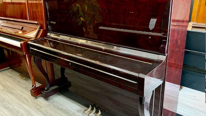 Atlas Piano hỗ trợ học viên duy trì cảm hứng luyện tập lâu dài